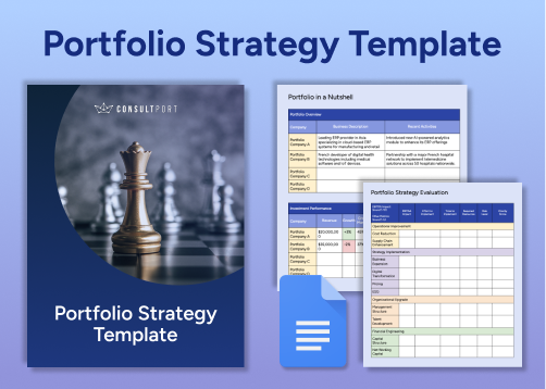 Private Equity Portfolio Strategy Template Screenshots