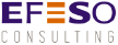 EFESO Management Consultants