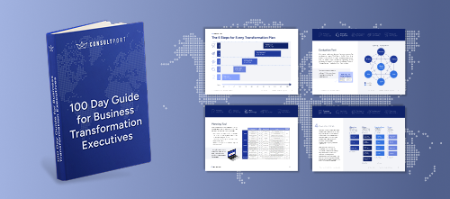 Business transformation guide