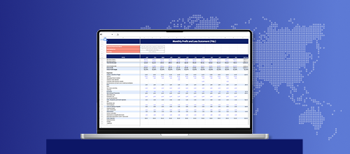 profit and loss statement