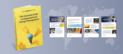 change management guide