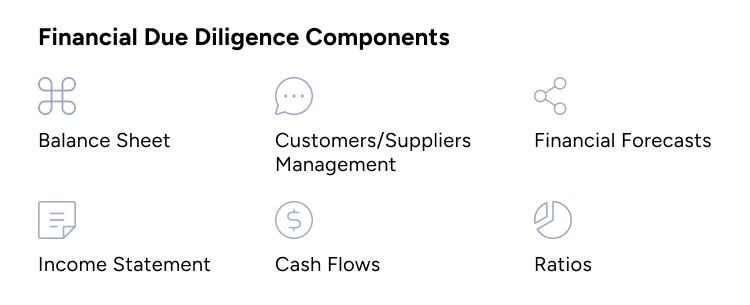  Financial Due Diligence components